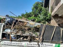 Professional Junk Removal in Fairview Ferndale, PA